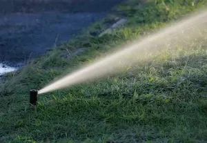watering on a green lawn