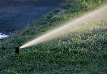 watering on a green lawn
