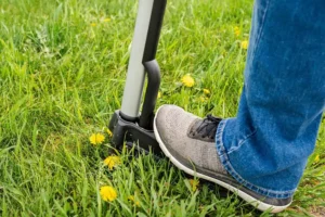 man doing weed control seasonal yard work
