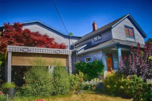 house garden with trees and shrubs