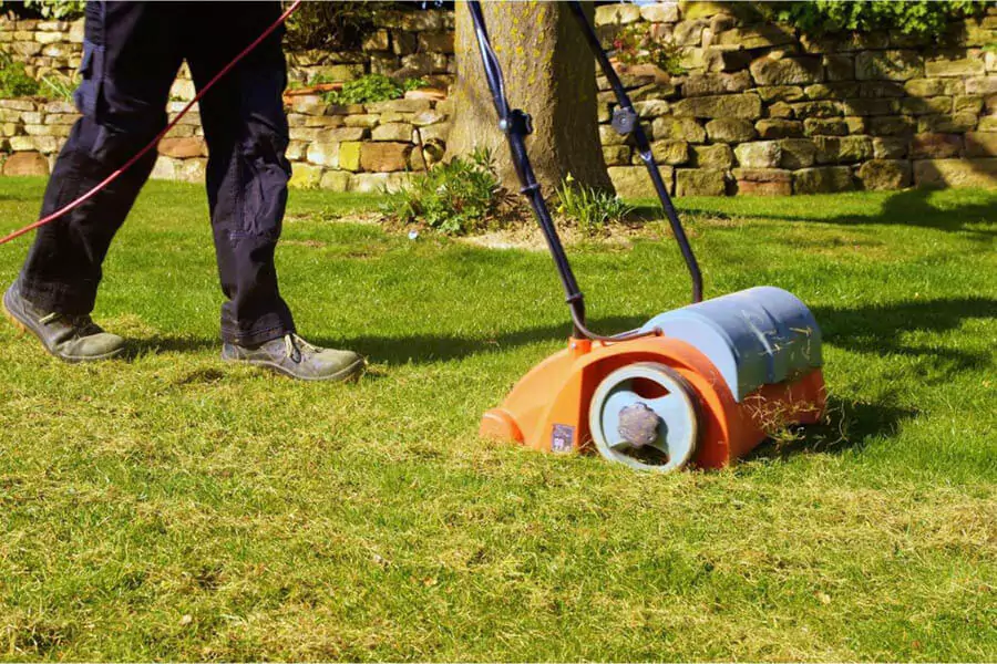A man Areation over a lawn with help of a scarifier