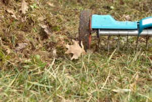 aeration lawn