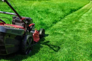 lawn mowing machine over the green lawn