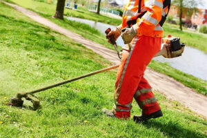 A man doing lawn care mower garden