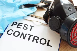 Pest control wrote on a white paper