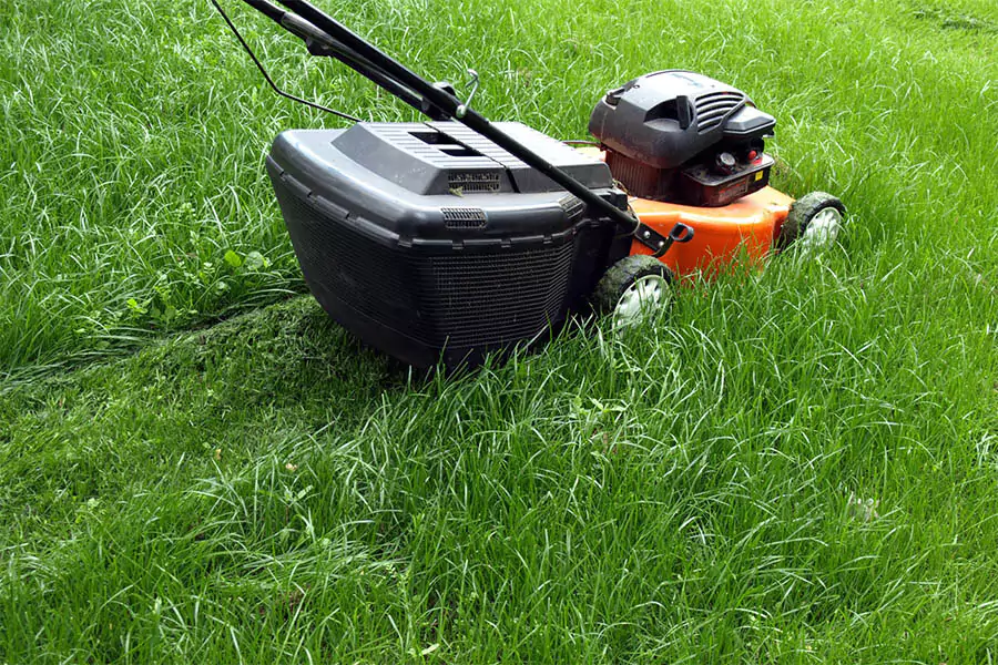 Essential Lawn Care Tips for a Lush Yard in Canton, GA