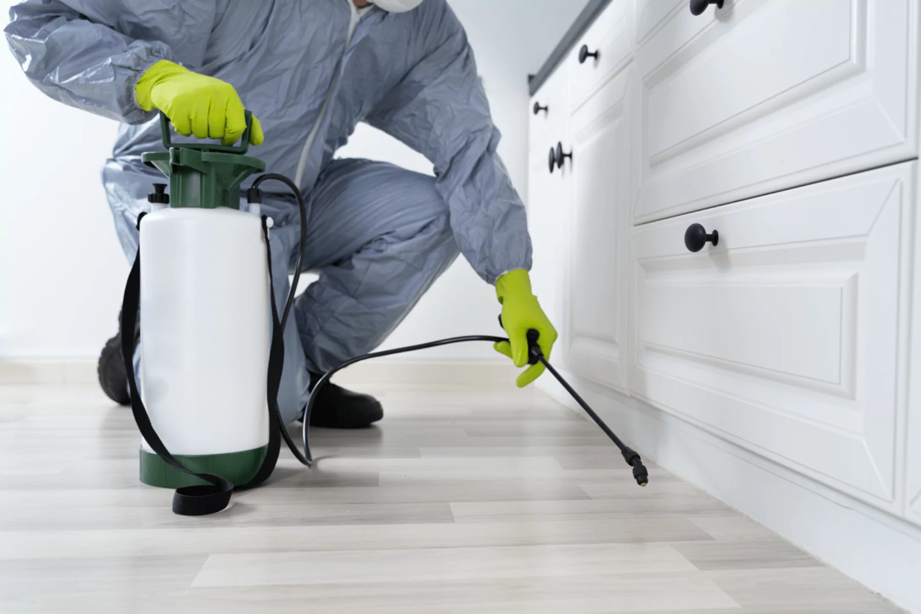Pest specialists doing controlling