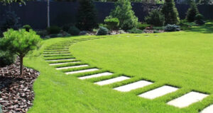 Transform Your Yard: Expert Lawn Care Service in Cumming, GA