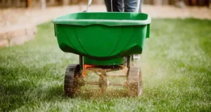 Top Strategies for Achieving the Perfect Weed-Free Lawn: Weed Control in Atlanta, GA