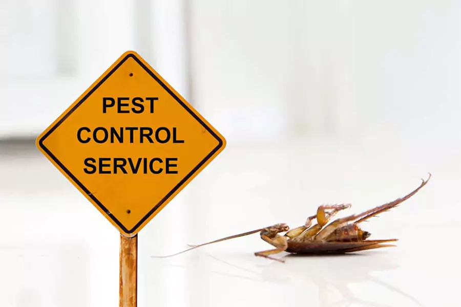 Pest control service sign with a dead cockroach, symbolizing effective home pest management.
