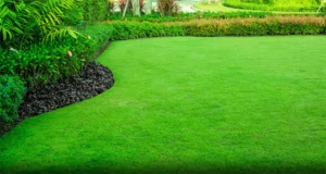 Pristine green lawn with lush landscaping, perfect for lawn maintenance in Cumming, GA.