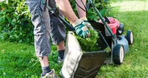 Person wearing gloves and outdoor attire emptying grass clippings from a lawn mower, highlighting DIY lawn maintenance and proper grass care.