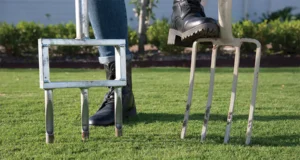 Comparison of core and spike aeration tools on a healthy lawn in Cumming, GA for soil treatment