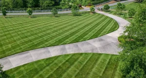 Professionally maintained commercial lawn with striped mowing pattern and clean driveway in Cumming GA