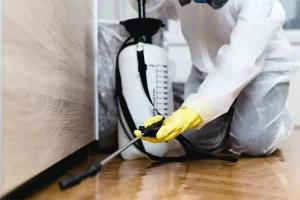Professional pest control technician in Alpharetta, GA spraying insecticide indoors to prevent common winter pests.