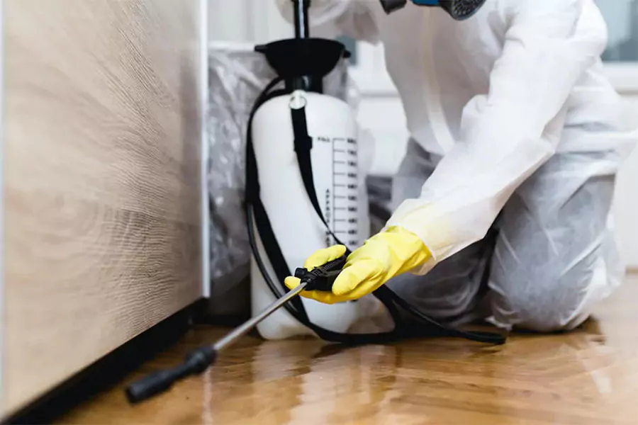 Professional pest control technician in Alpharetta, GA spraying insecticide indoors to prevent common winter pests.