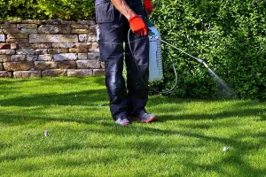 A lawn care professional applying a pre-emergent weed treatment with a handheld sprayer across a green residential lawn near a stone retaining wall and shrubs, demonstrating early spring weed prevention service.