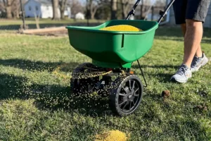 Lawn fertilizer spreader applying granular fertilizer to grass for healthy growth and improved lawn care