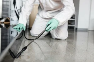 Pest control technician applying indoor treatment along baseboards in Cumming GA to prevent hidden termite infestation and protect home interior