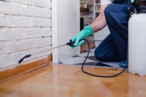 A pest control technician in blue coveralls and a green glove uses a wand sprayer to treat a baseboard crack, with the pump tank and hose visible nearby.