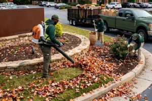 Commercial landscaping crew performing fall lawn maintenance in Cumming, GA, using a leaf blower, rake, and shovel to clear fallen leaves from landscaped garden beds.