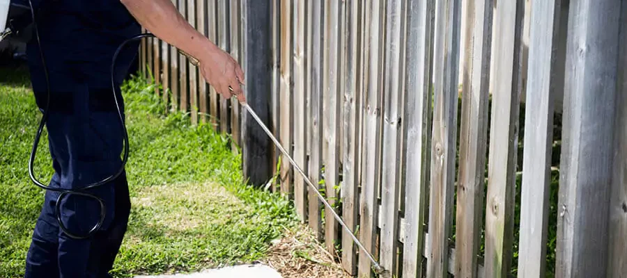 an insect control specialist controlling insect by spraying