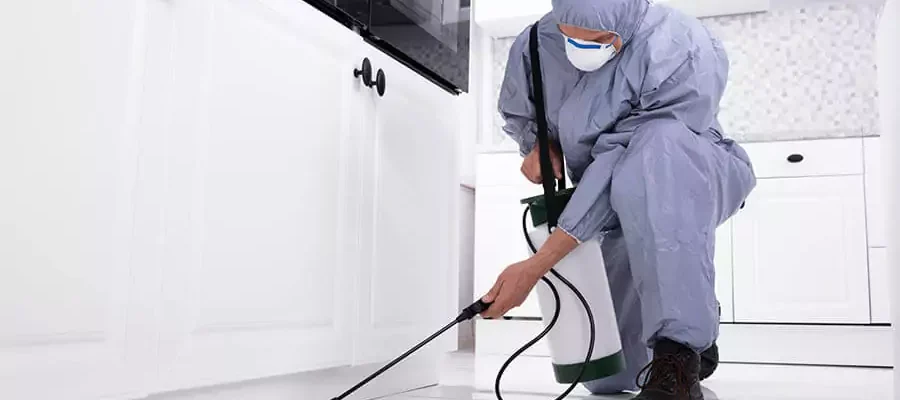 an Interior Pest Control specialist controlling household pests by spraying