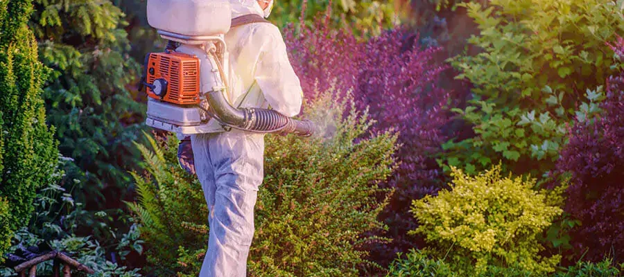 A man controlling mosquitoes by spraying in the garden