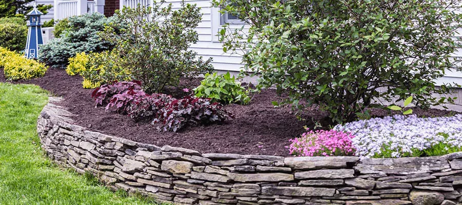 Mulch in front of the house garden