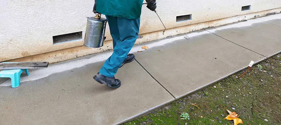 perimeter Pest Control Spray