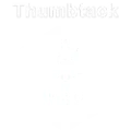 Top pro with star icon transparent logo